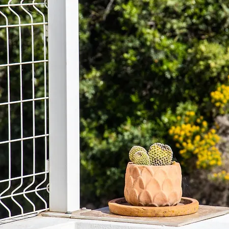 Casa Mm By Urban Beach Rentals *